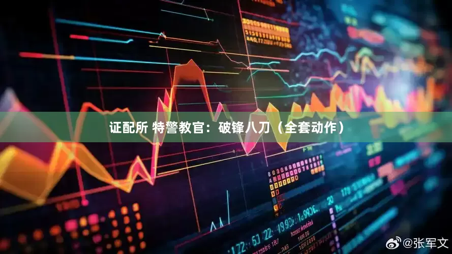 证配所 特警教官：破锋八刀（全套动作）
